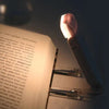 LuminaFlex BookMate | Boekenlamp.