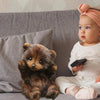 KnuffelCub™ - Het Knuffelbare Avonturenmaatje