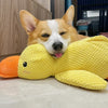 DogDuck™ | De nieuwe sterkste partner van uw hond (1+1 GRATIS)