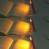 LuminaFlex BookMate | Boekenlamp.