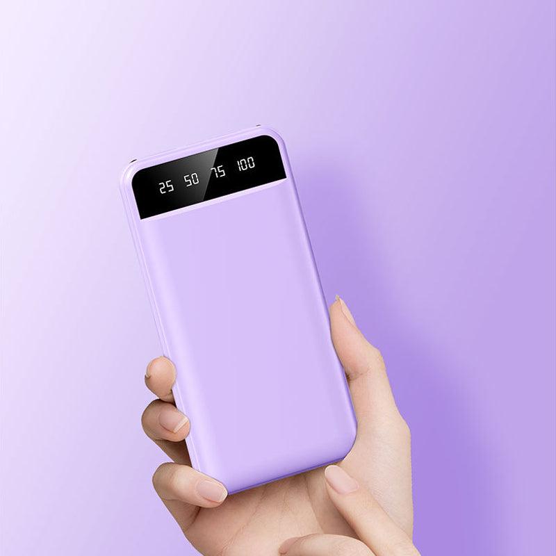 Powerbank 20.000Mah met zaklamp.