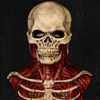 Skull Mask™️ | Bereid je voor op een vroege Halloween
