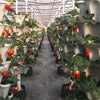 Stack-Up™ Plantenbak