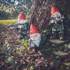 Tuinkabouter-Leger | Verdedig Je Tuin Met Humor!.