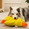 DogDuck™ | De nieuwe sterkste partner van uw hond (1+1 GRATIS)