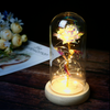 Galaxy Rose