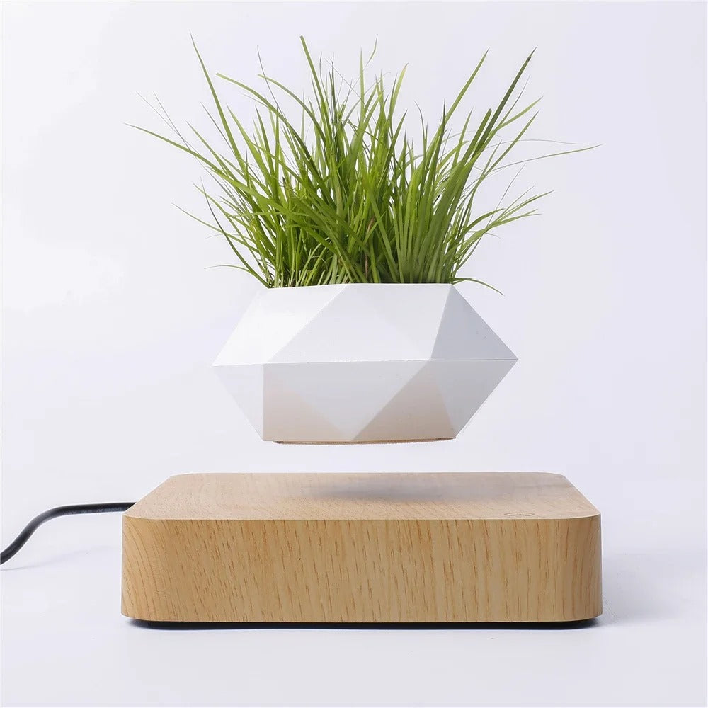 Magic Pot™ | Een nieuwe manier van decoratie!