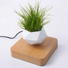 Magic Pot™ | Een nieuwe manier van decoratie!