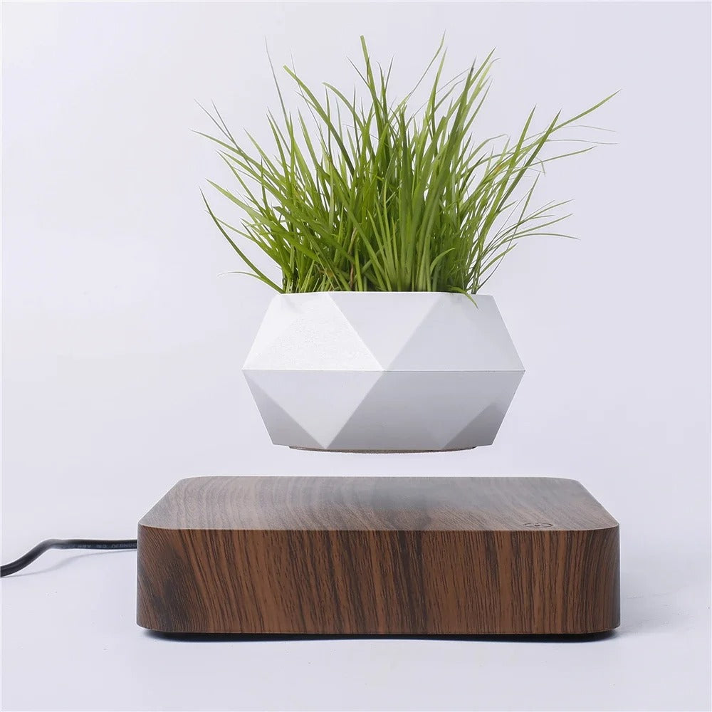 Magic Pot™ | Een nieuwe manier van decoratie!
