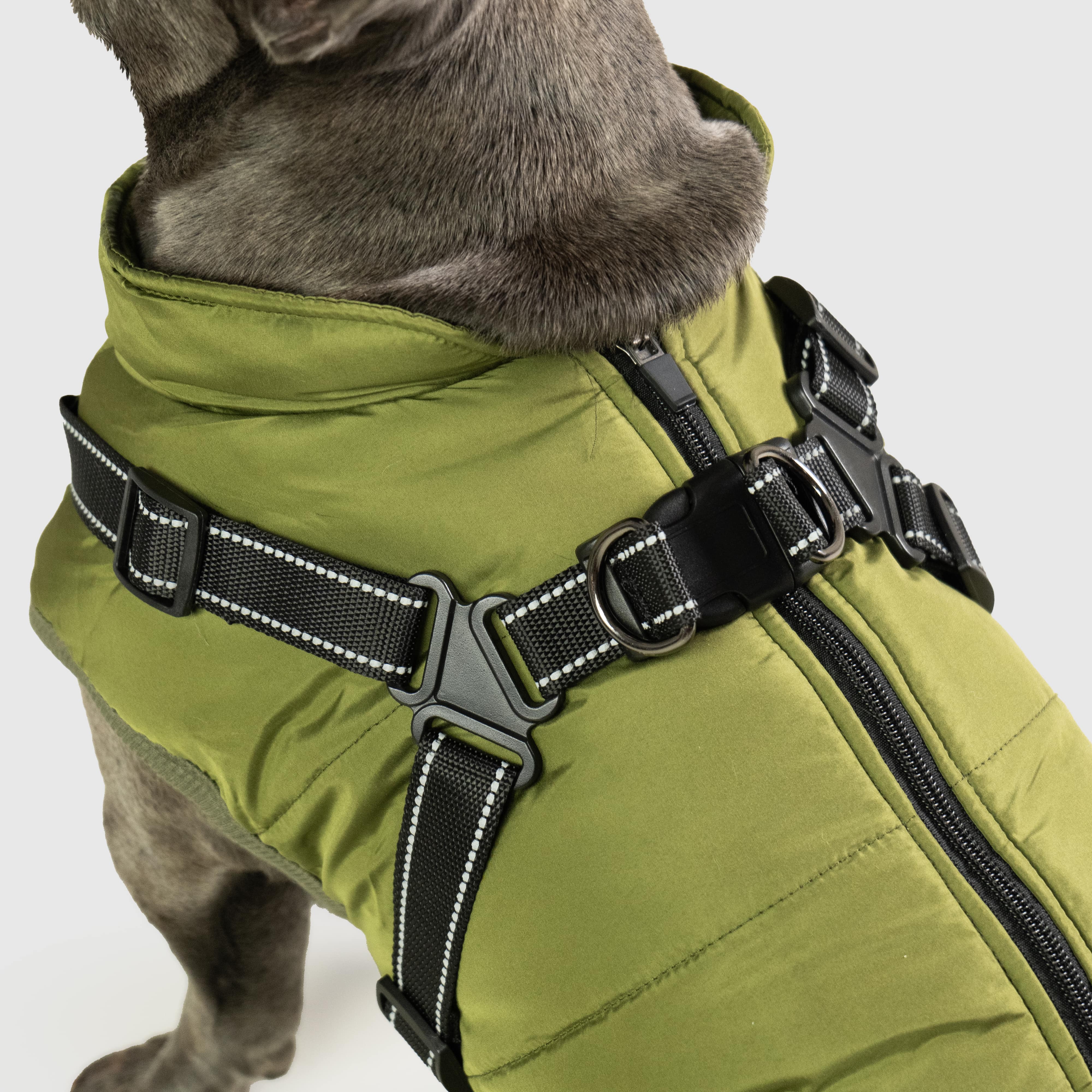 PawShield Winterjas | Hondenjas met harnas