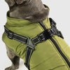 PawShield Winterjas | Hondenjas met harnas