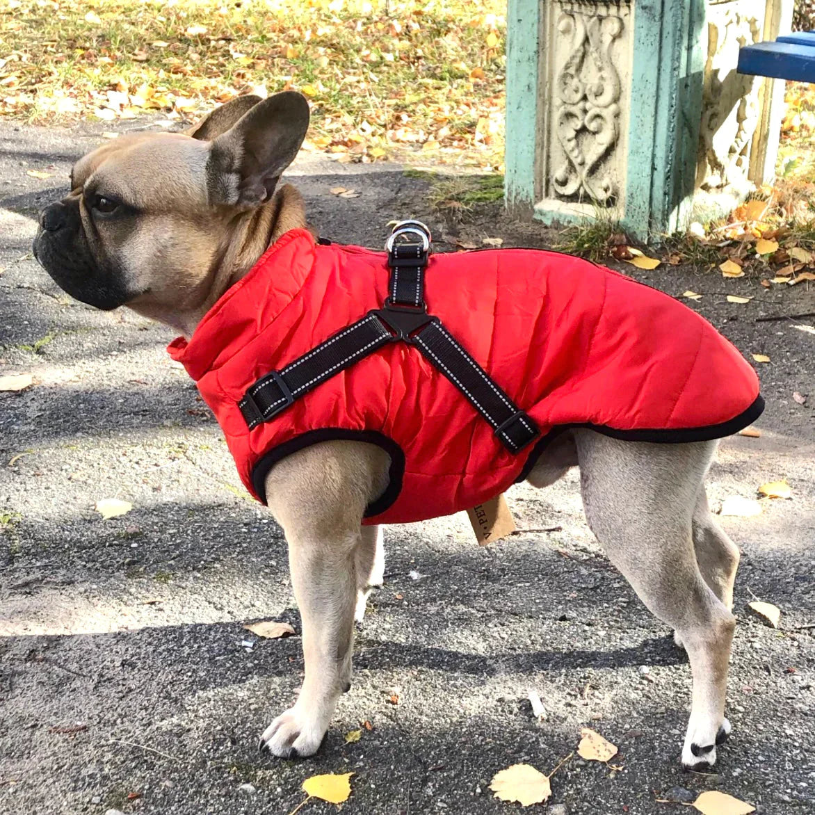 PawShield Winterjas | Hondenjas met harnas