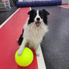 WoofWonder - Reuzen Tennis Ball