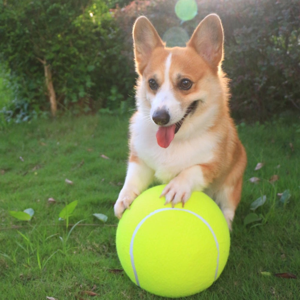 WoofWonder - Reuzen Tennis Ball